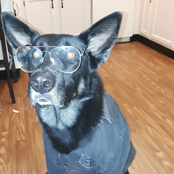 Meet your Posher, Mayra - Picture 1 of 1